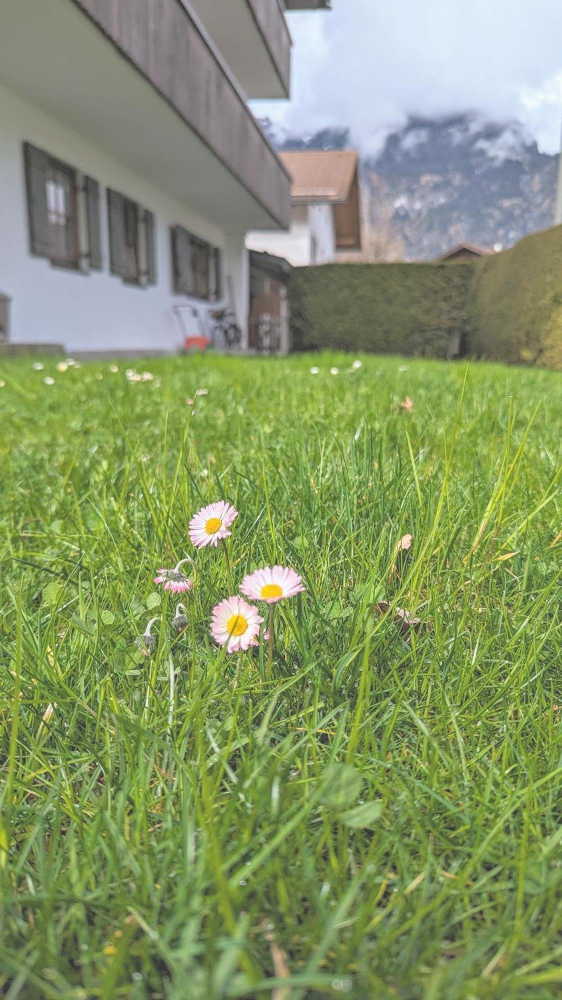 Calm Gap Lägenhet Garmisch-Partenkirchen Exteriör bild